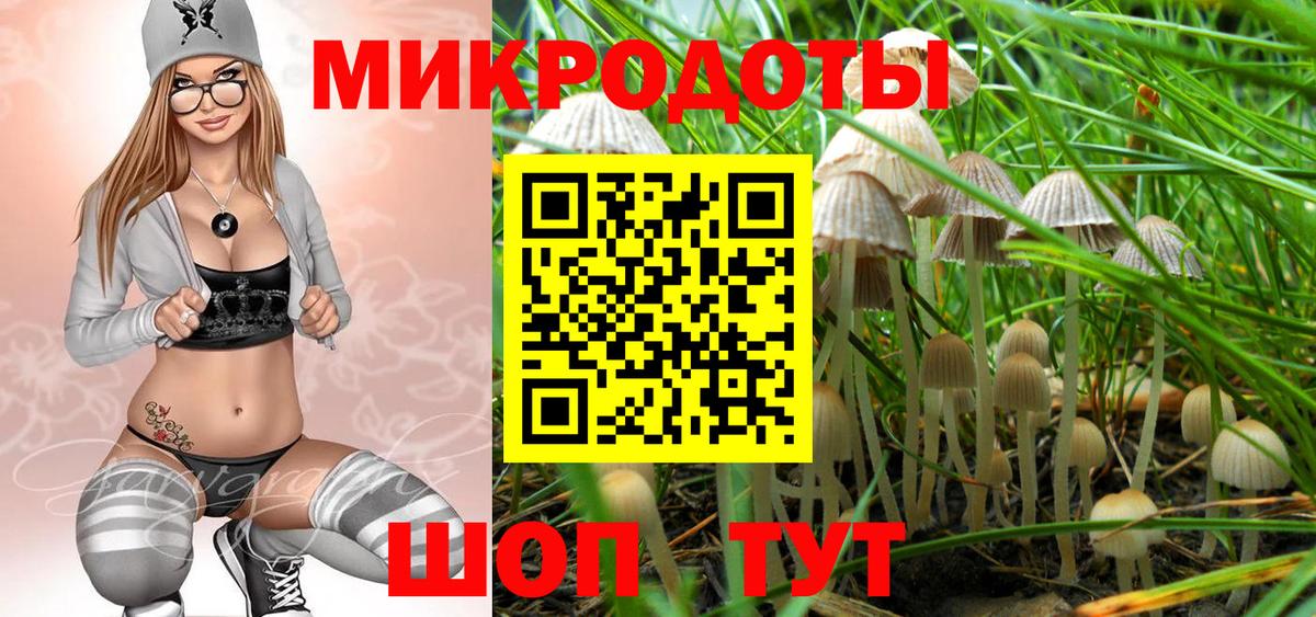 Псилоцибиновые грибы Cubensis Баксан