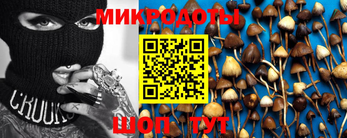 Псилоцибиновые грибы MAGIC MUSHROOMS  купить  цена  Баксан  Вход с VPN 