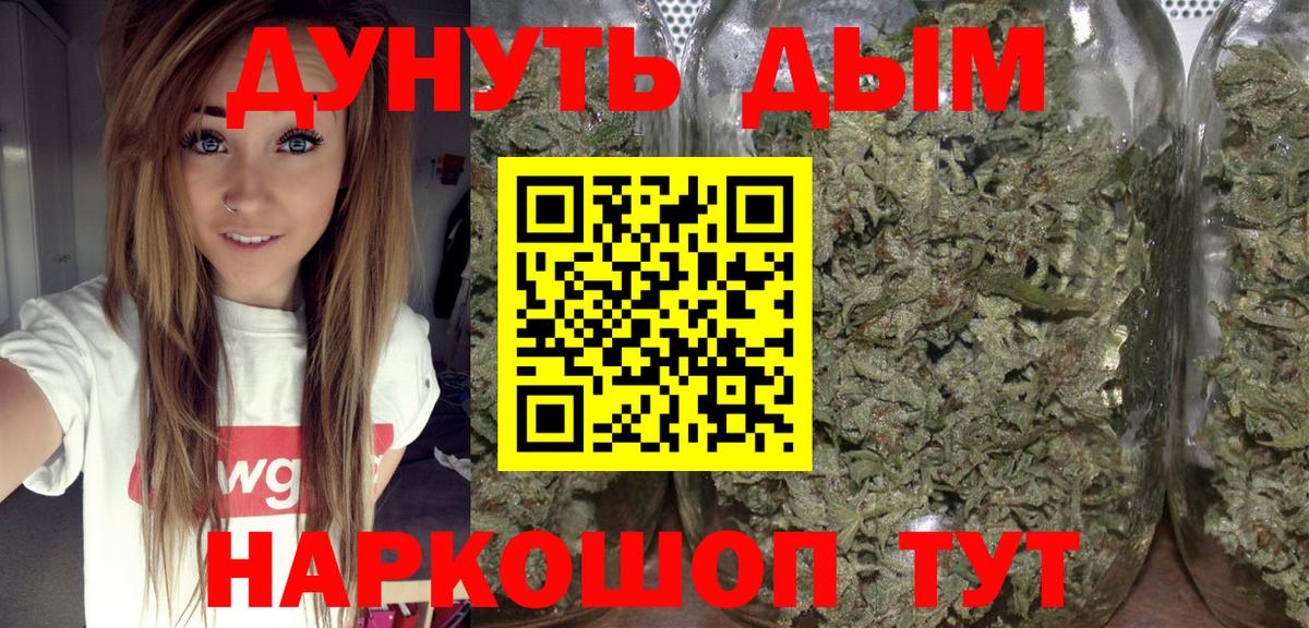 Каннабис планчик  Бошки марихуана сатива  Каннабис OG Kush  Вход с VPN  Баксан 